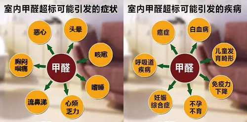 擔(dān)心家里甲醛超標(biāo)，教您一招，安安心心住新家！